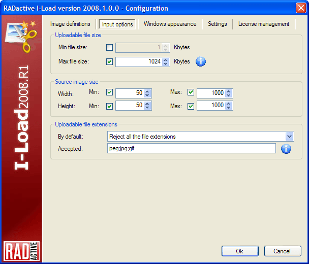 Input options: file size, image size and accepted formats