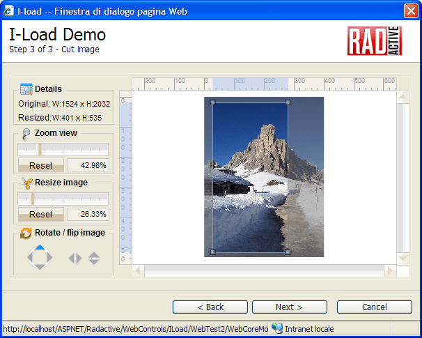 Step 3 of 3: crop, zoom, resize and rotate