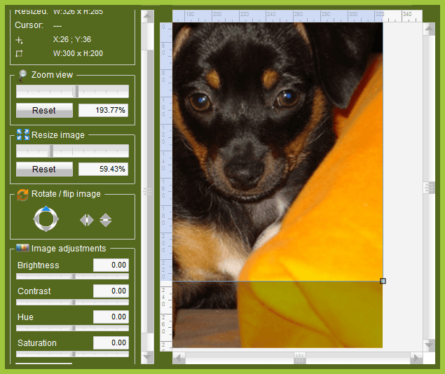 Configuring the control in Visual Studio